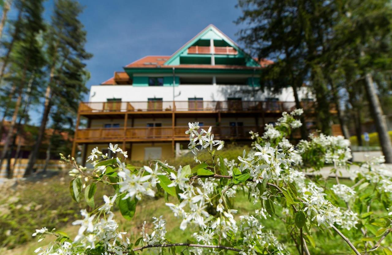 Apartmán Apartmán Čtyřlístek Lipno Lipno nad Vltavou Exteriér fotografie