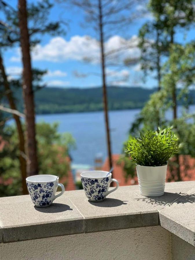Apartmán Apartmán Čtyřlístek Lipno Lipno nad Vltavou Exteriér fotografie